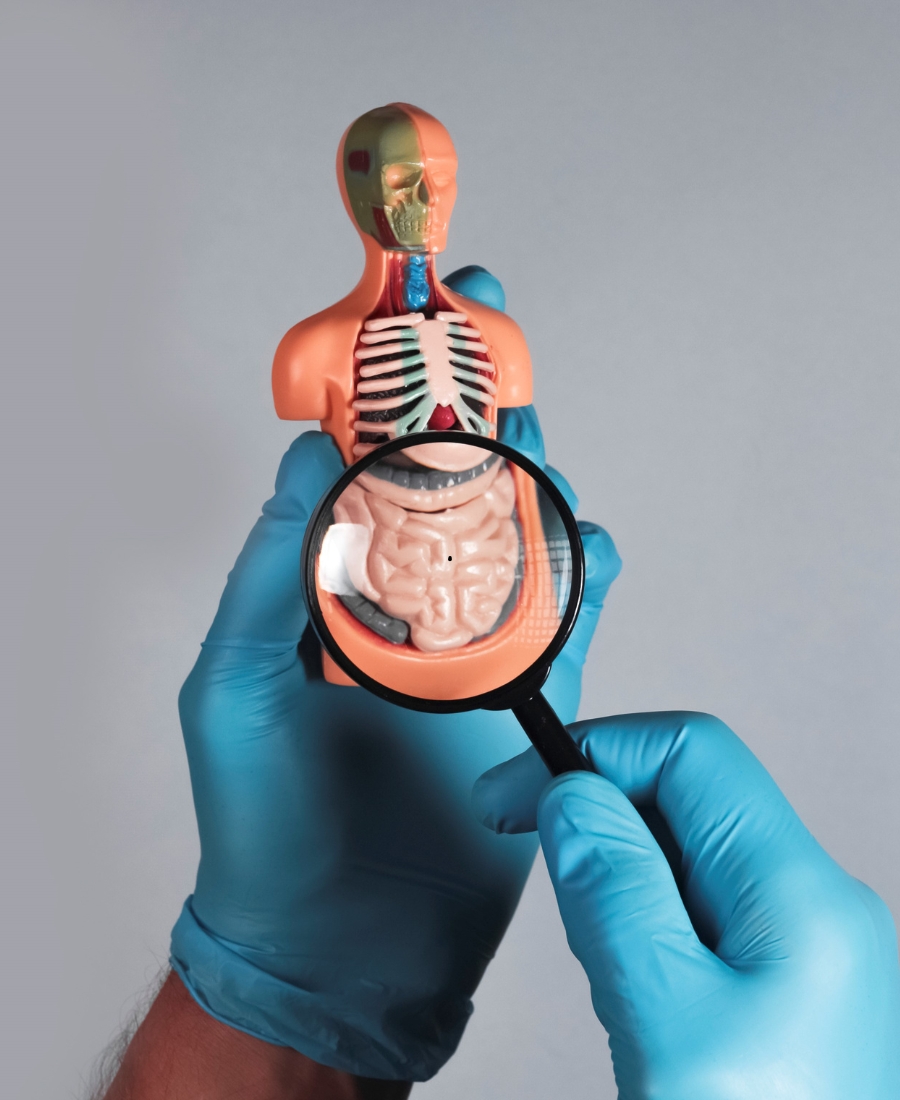 SIMSRH Gastroenterology - Overview